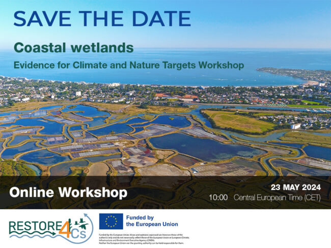 Coastal wetlands Evidence for Climate Nature Targets_workshop