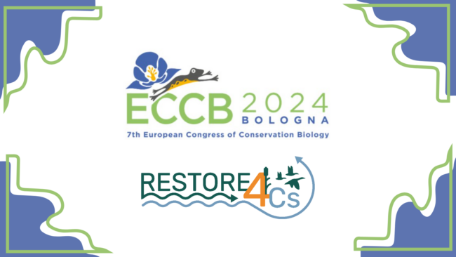 R4Cs at ECCB2024