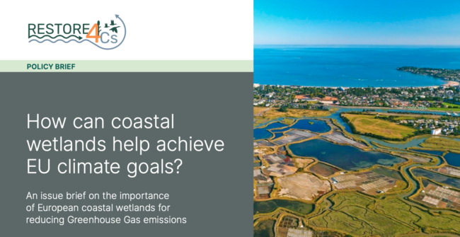 RESTORE4Cs 1st Policy Brief