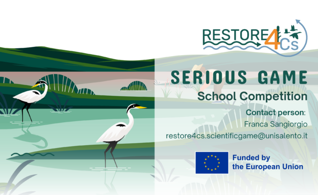 R4Cs School Competition