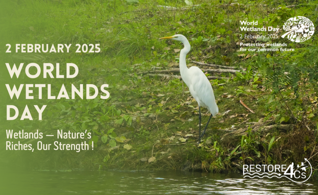 RESTORE4Cs Initiatives for World Wetlands Day 2025