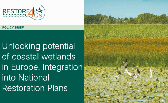 RESTORE4Cs 2nd Policy Brief