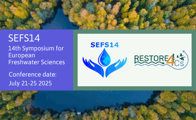 R4Cs at SEFS14