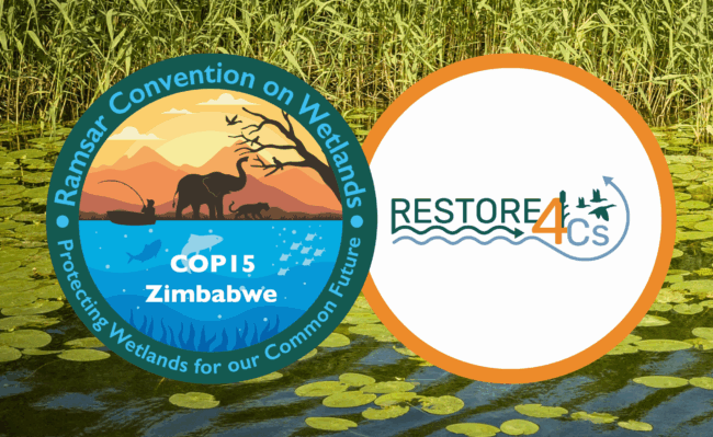 RESTORE4Cs at COP15