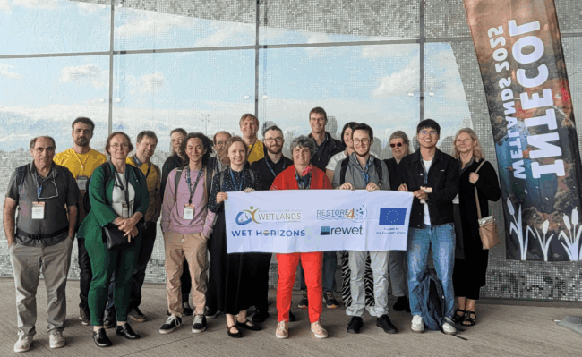 Sister Projects at 12th Intecol Conference