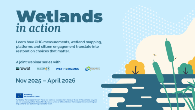 wetlandsinaction